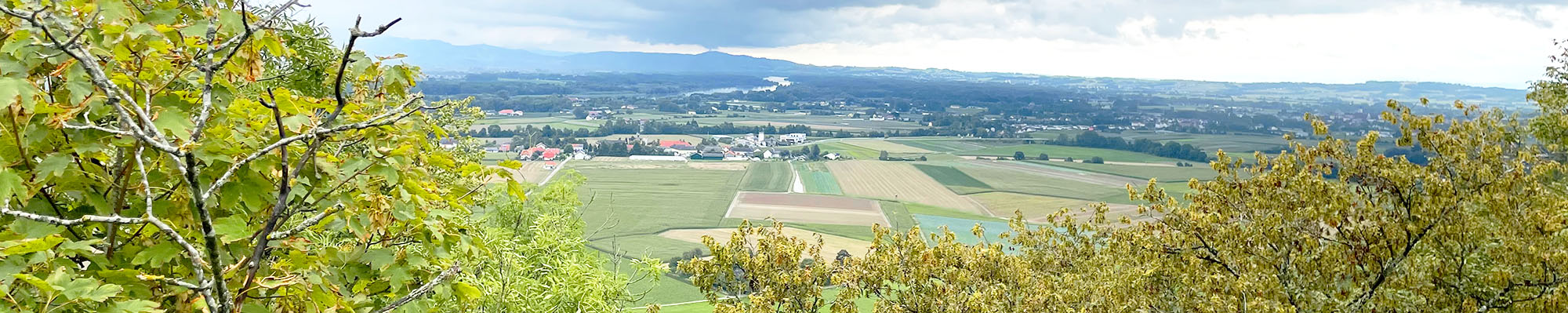 headerimage