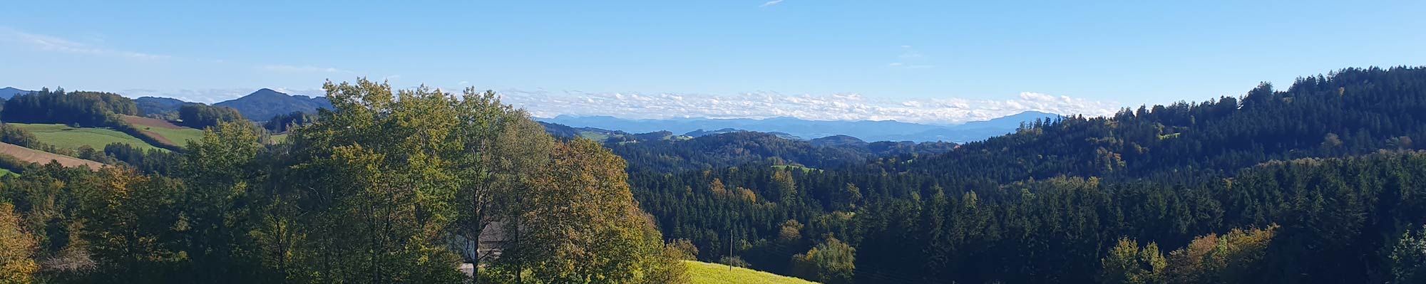 headerimage